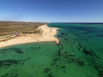 Ningaloo - WA (PBH3 00 8253)