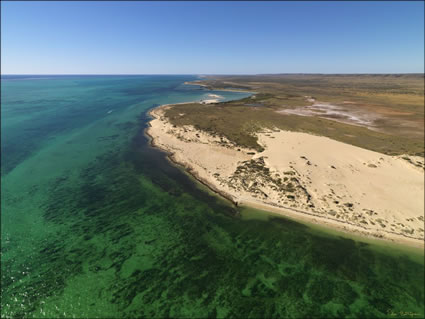 Ningaloo - WA (PBH3 00 8254)