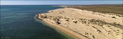 Ningaloo - WA (PBH3 00 8264)