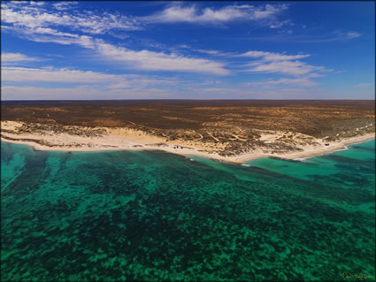 Ningaloo - WA SQ (PBH3 00 7974)