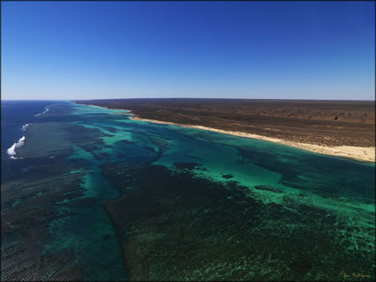 Ningaloo Reef - WA (PBH3 00 7802)