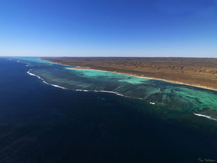 Ningaloo Reef - WA (PBH3 00 7804)