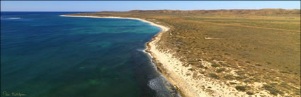 Ningaloo Reef - WA (PBH3 00 8271)