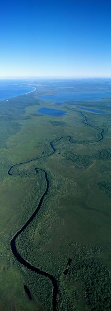 Noosa Everglades Vertical