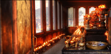 Offering Butter Lamps T (PBH3 00 23665)