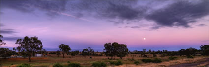 Old Junee - NSW (PBH3 00 17918)