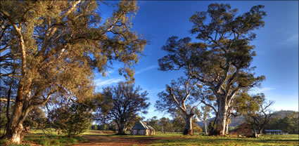 Old Wilpena Station - SA T (PBH3 00 19753)