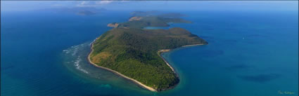 Orpheus Island - QLD H (PBH3 00 2398)