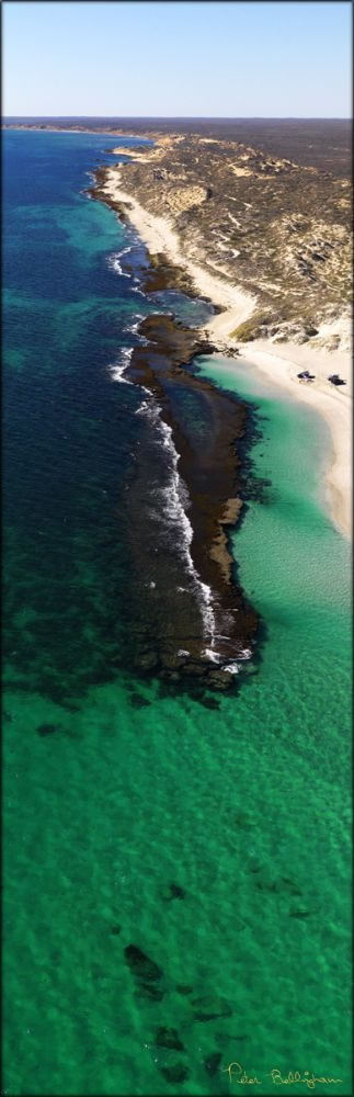 Oyster Lagoon - Coral Bay - WA (PBH3 00 7819)