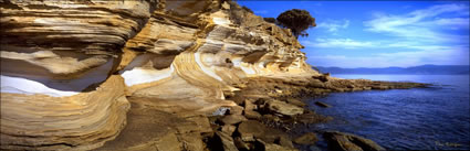 Painted Cliffs - Maria Island - TAS (PB00 5656)