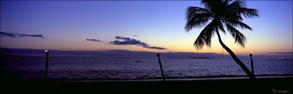 Palm Tree Sunset - Fiji (PB00 4908)