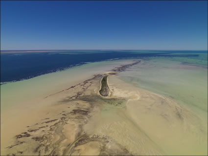 Pelican Island - Shark Bay - WA (PBH3 00 4864)