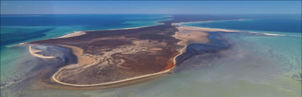 Petit Point - Shark Bay - WA (PBH3 00 4873)