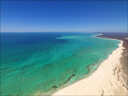 Petit Point - Shark Bay - WA (PBH3 00 4878)