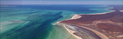 Petit Point - Shark Bay - WA (PBH3 00 4882)