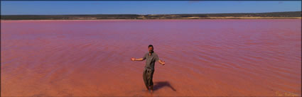 Pink Lake - WA (PBH3 00 5094)