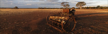 Plough - WA (PBH3 00 2680)