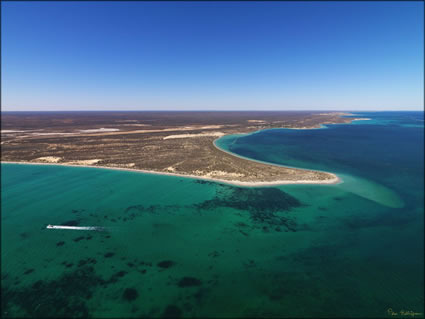 Point Maud - Coral Bay - SQ (PBH3 00 7754)