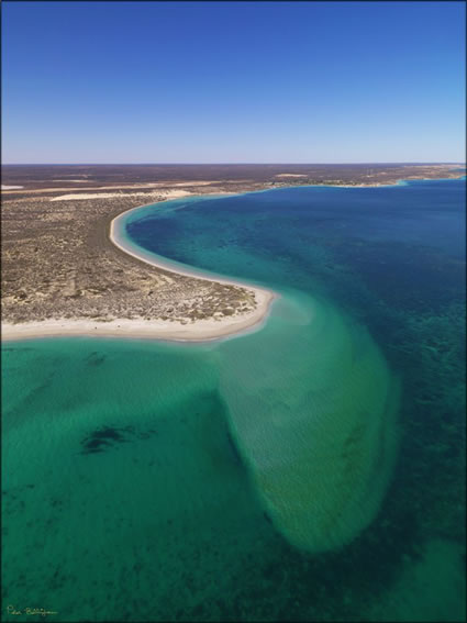 Point Maud - Coral Bay - WA (PBH3 00 7764)