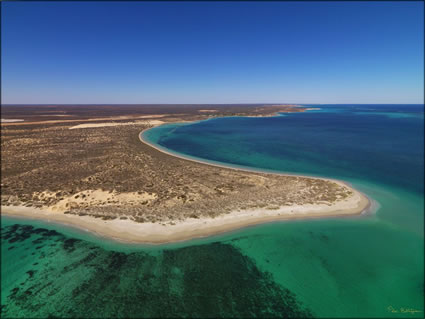 Point Maud - Coral Bay - WA SQ (PBH3 00 7760)