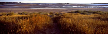 Port Sorell Beach - TAS (PB00 4402)