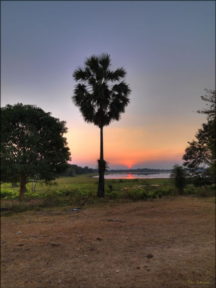 Prasat Preah Damrei (PBH3 00 5957)