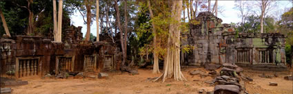 Prasat Thom (PBH3 00 6019)