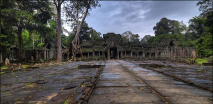 Preah Khan T (PBH3 00 13811)