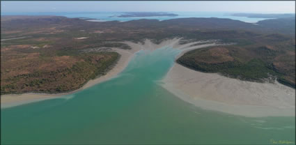 Prince Regent Mangroves - WA T (PBH3 00 10945)