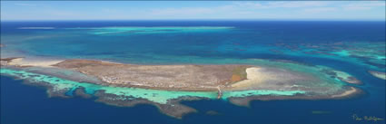 Rat Island - Abrolhos - WA (PBH3 00 4778)