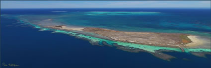 Rat Island - Abrolhos - WA (PBH3 00 4779)