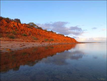 Red Cliff - Shark Bay  - WA (PBH3 00 5061)