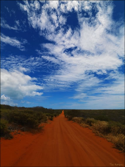 Red Road - Shark Bay - WA (PBH3 00 5007)