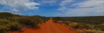 Red Road - Shark Bay - WA (PBH3 00 5008)