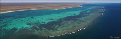 Ningaloo Reef - WA (PBH3 00 7796)