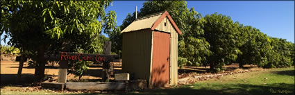 River Gums Cafe - WA (PBH3 00 7707)