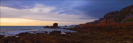 Rocky Cape NP - TAS (PBH3 00 2990)