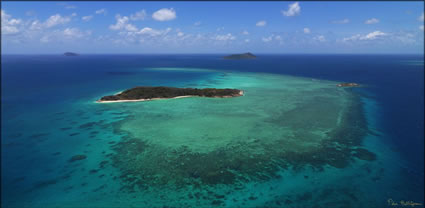 Rocky Islets - QLD  T (PBH3 0 13472)