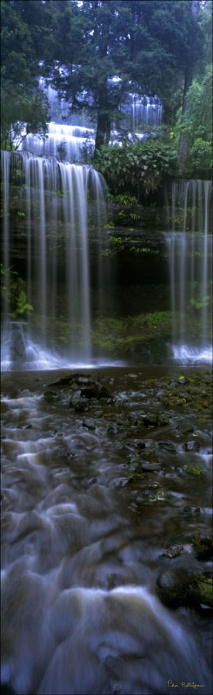 Russell Falls - Mount  Field NP - TAS (PB00 1934)