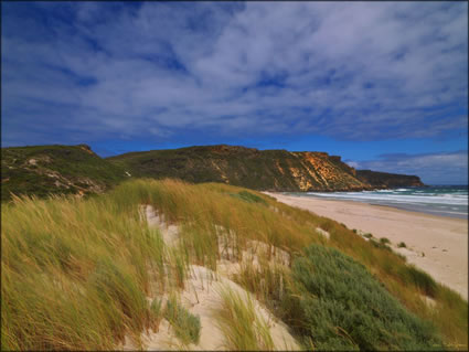 Salmon Beach - WA (PBH3 00 5322)