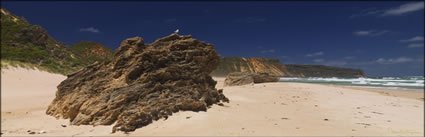 Salmon Beach - WA (PBH3 00 5344)