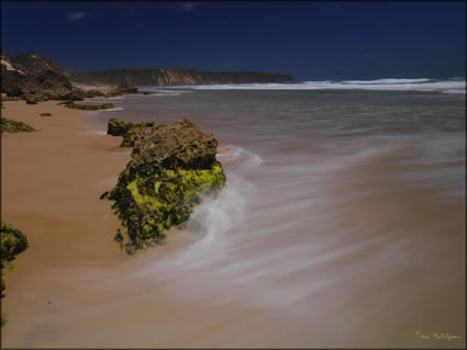 Salmon Beach - WA (PBH3 00 5369)