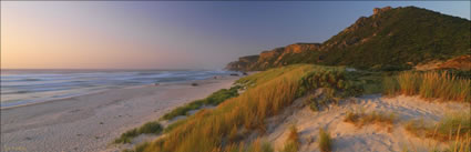 Salmon Beach - WA (PBH3 00 5381)