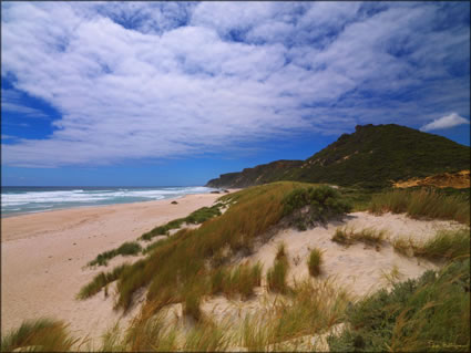 Salmon Beach - WA SQ (PBH3 00 5321)