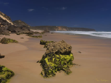 Salmon Beach - WA SQ (PBH3 00 5370)