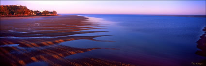 Sand Fingers - Hervey Bay - QLD (PB00 4775)