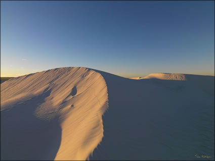 Wedge Island - WA SQ (PBH3 00 7330)