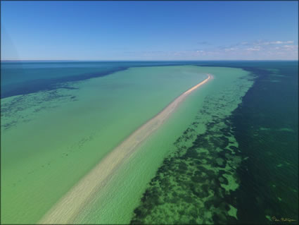 Sandspit - Spencer Gulf - SA SQ (PBH3 00 22686)