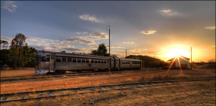 Savannahlander - QLD T (PBH3 00 13065)