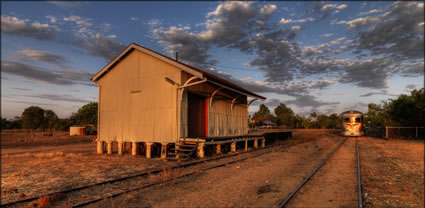 Savannahlander - QLD T (PBH3 00 13068)